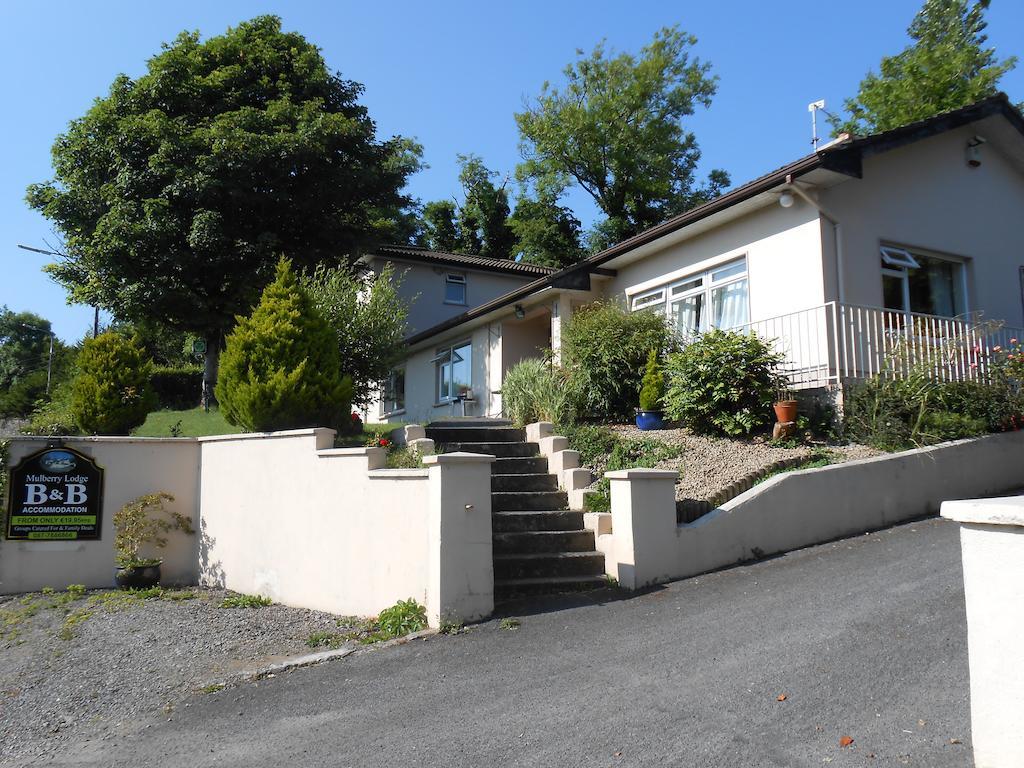 Mulberry Lodge B&B Westport Buitenkant foto